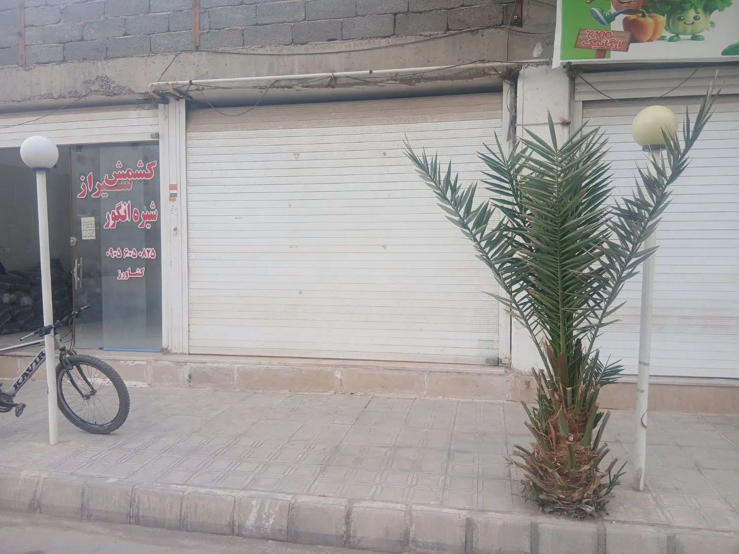 ۳باب مغازه بلوار پزشک