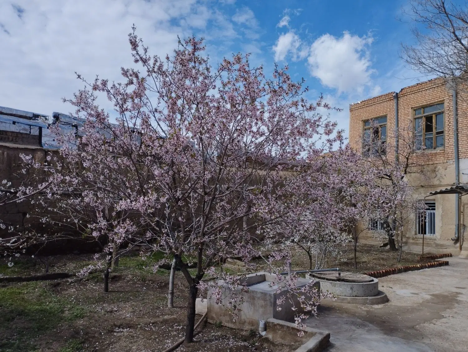 منزل مسکونی درشهر زیبای قوشچی