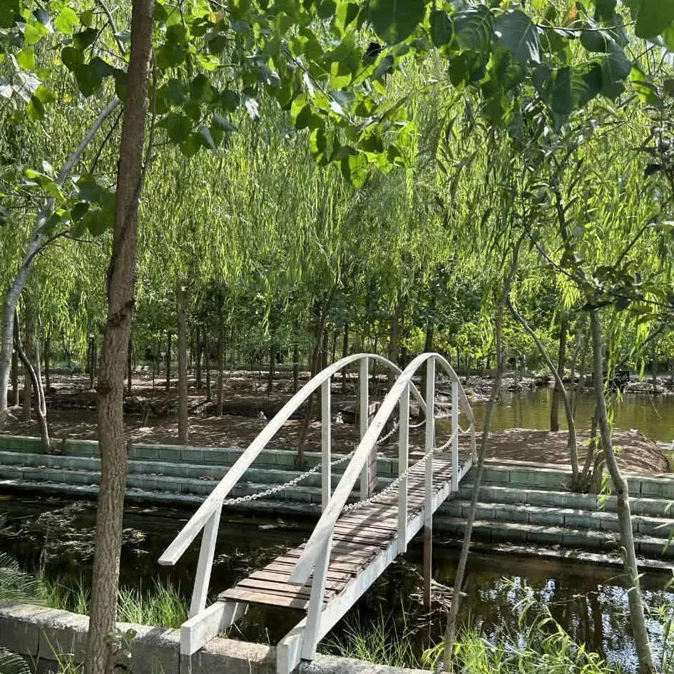 جایی که حال خوب جریان دارد