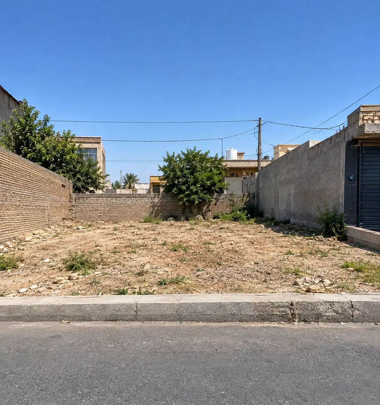 زمین