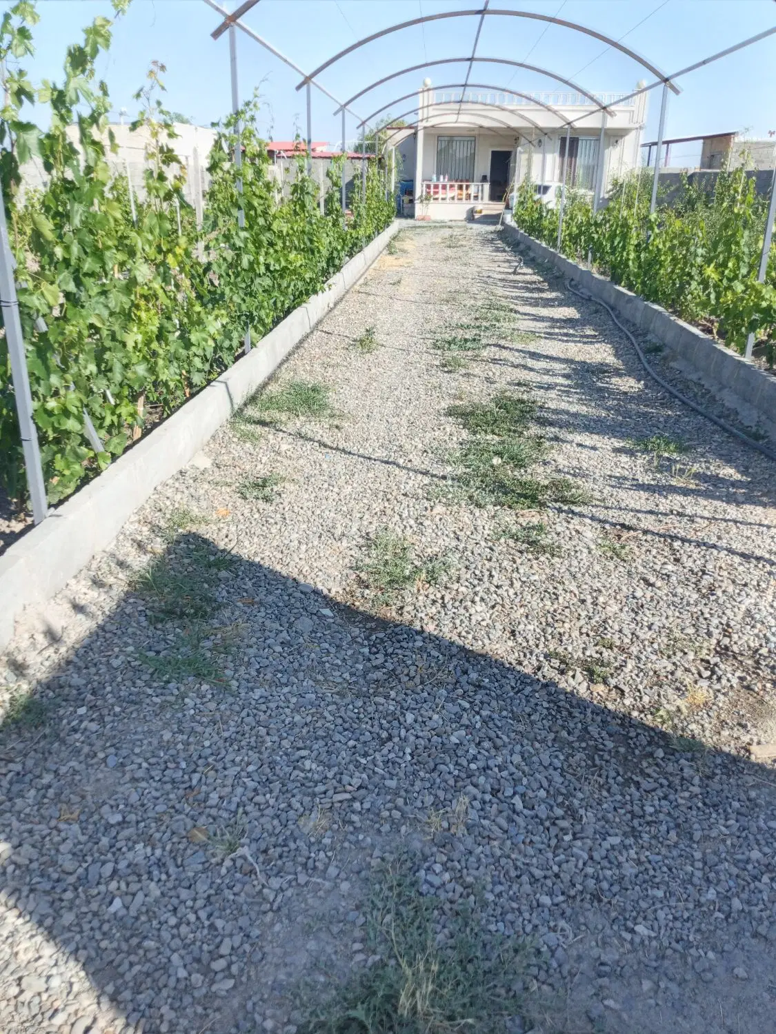 فروش باغ در اردوشاهی