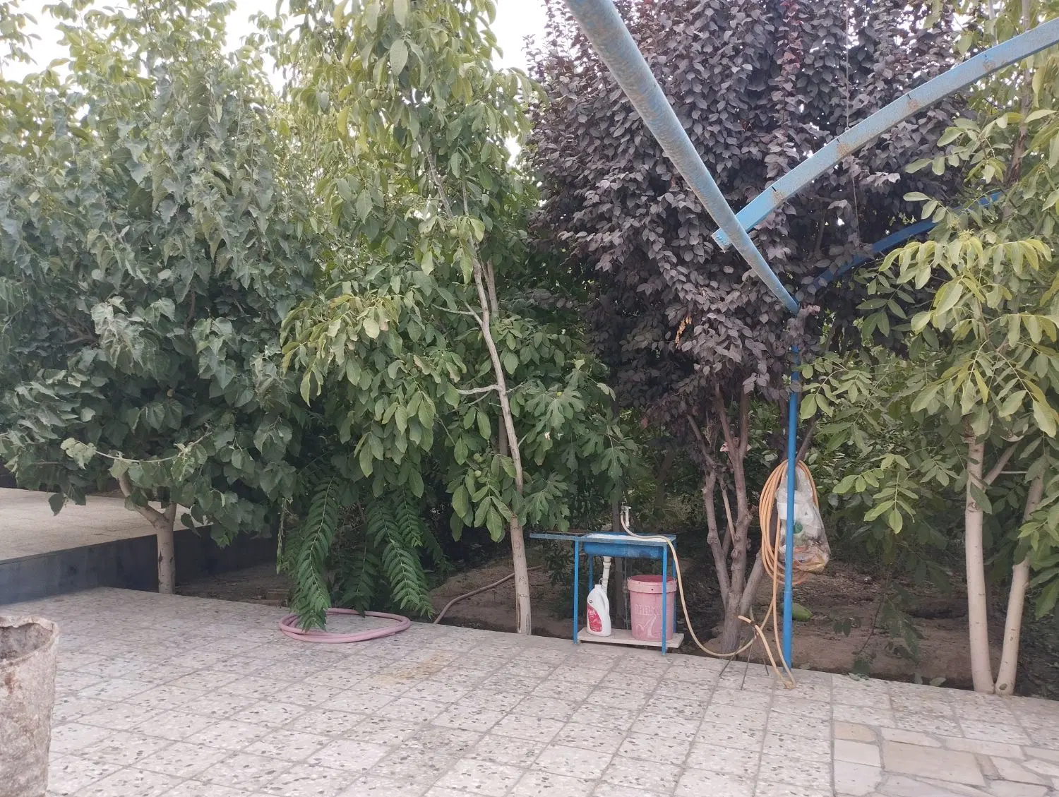 باغ ویلا(شکار)