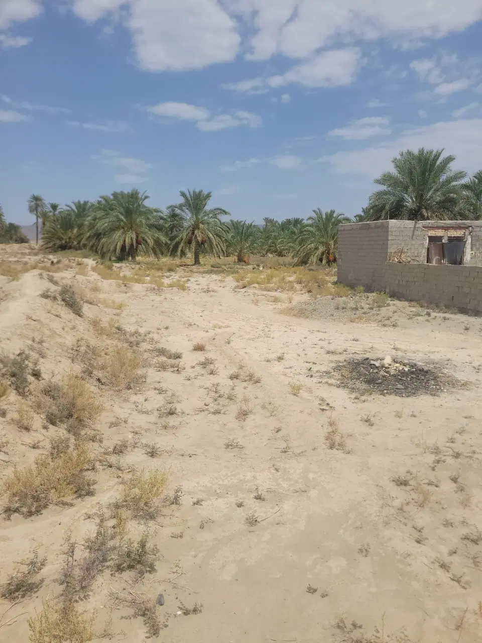 زمین فروشی هوشک