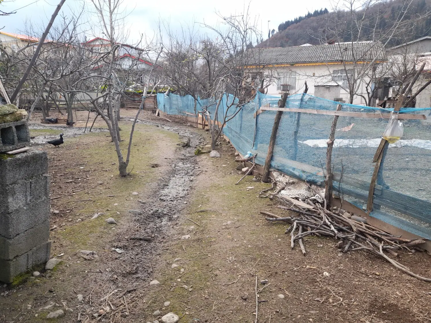 فروش زمین