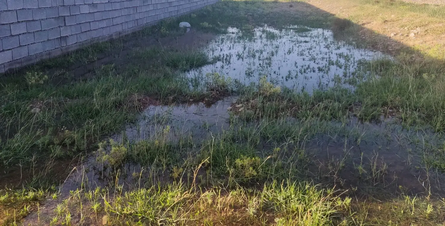 زمین باغچه
