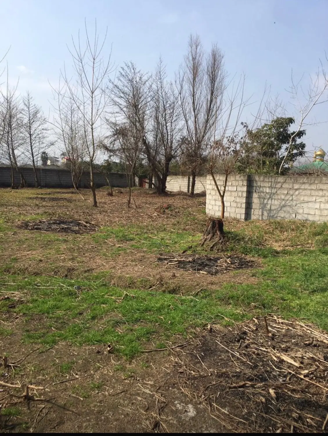 زمین دیوار کشی شده در تنکابن