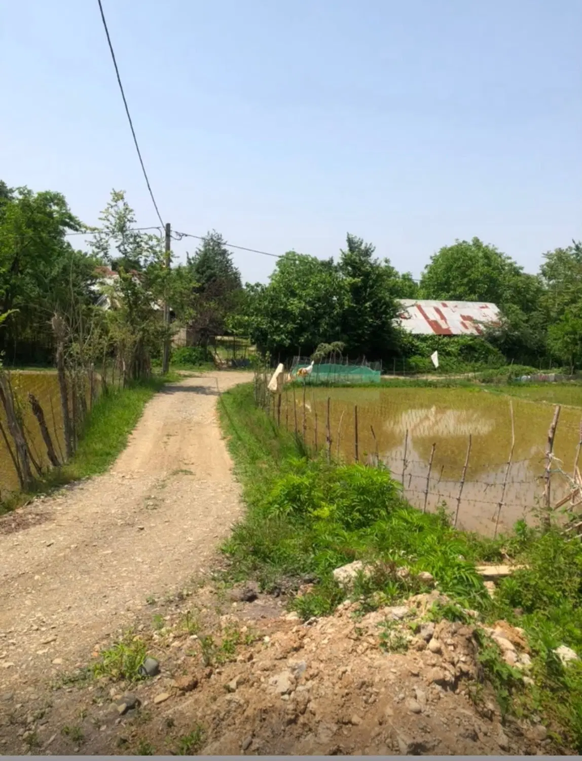 زمین نسقی مدارک کامل ( نامه بنیاد ، پروانه ساخت )