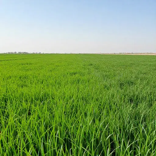 فروش و معاوضه مناسب سرمایه گذاری