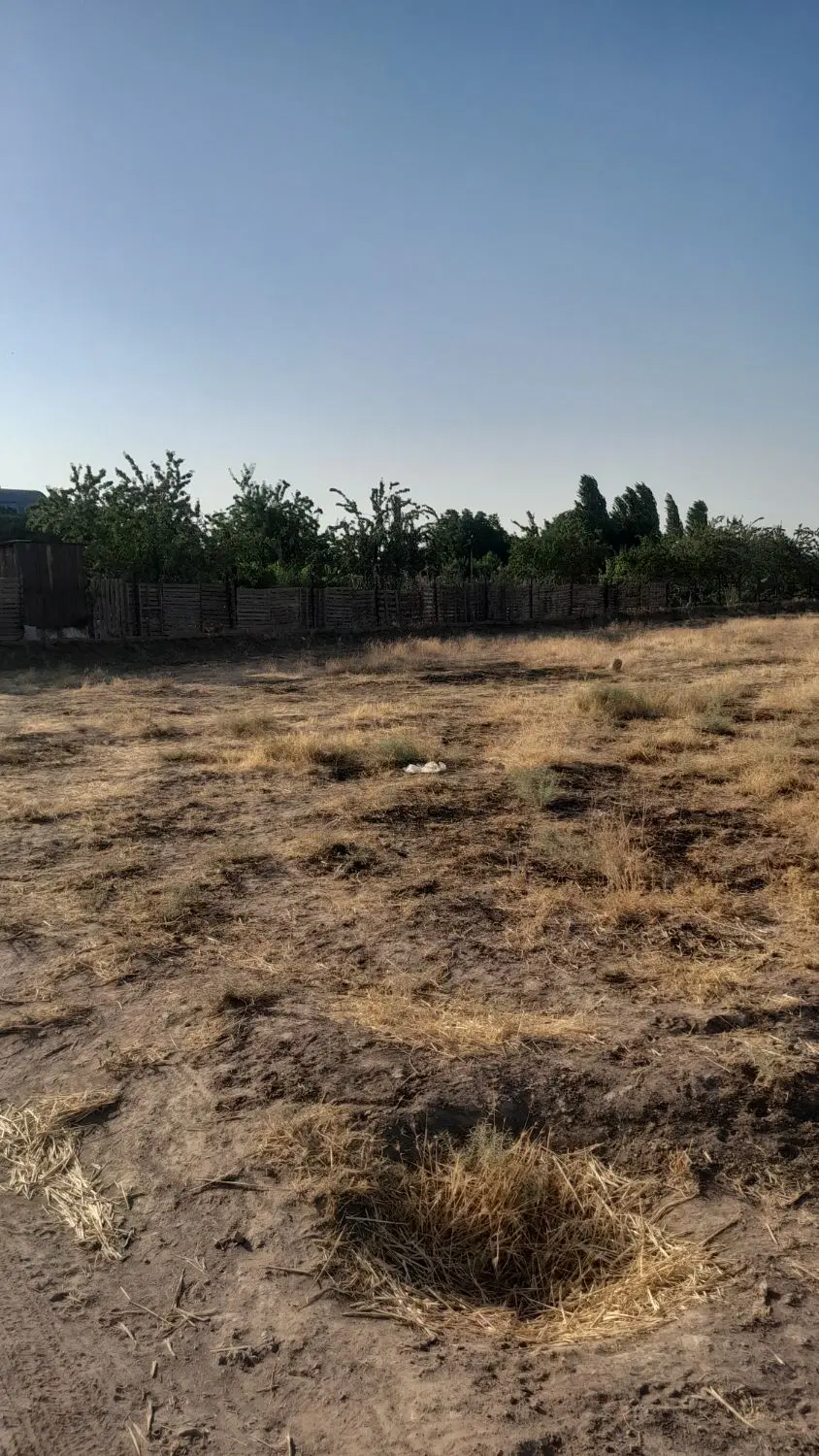 فروش زمین