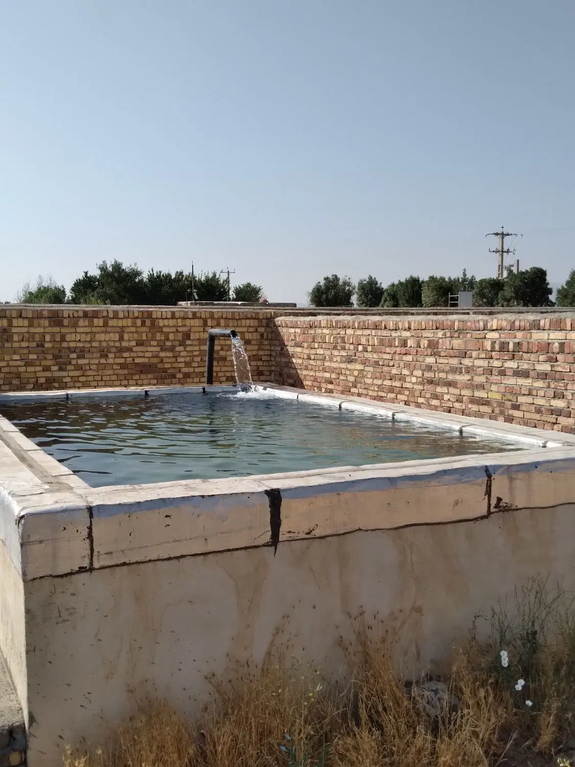 زمین باغ میقان