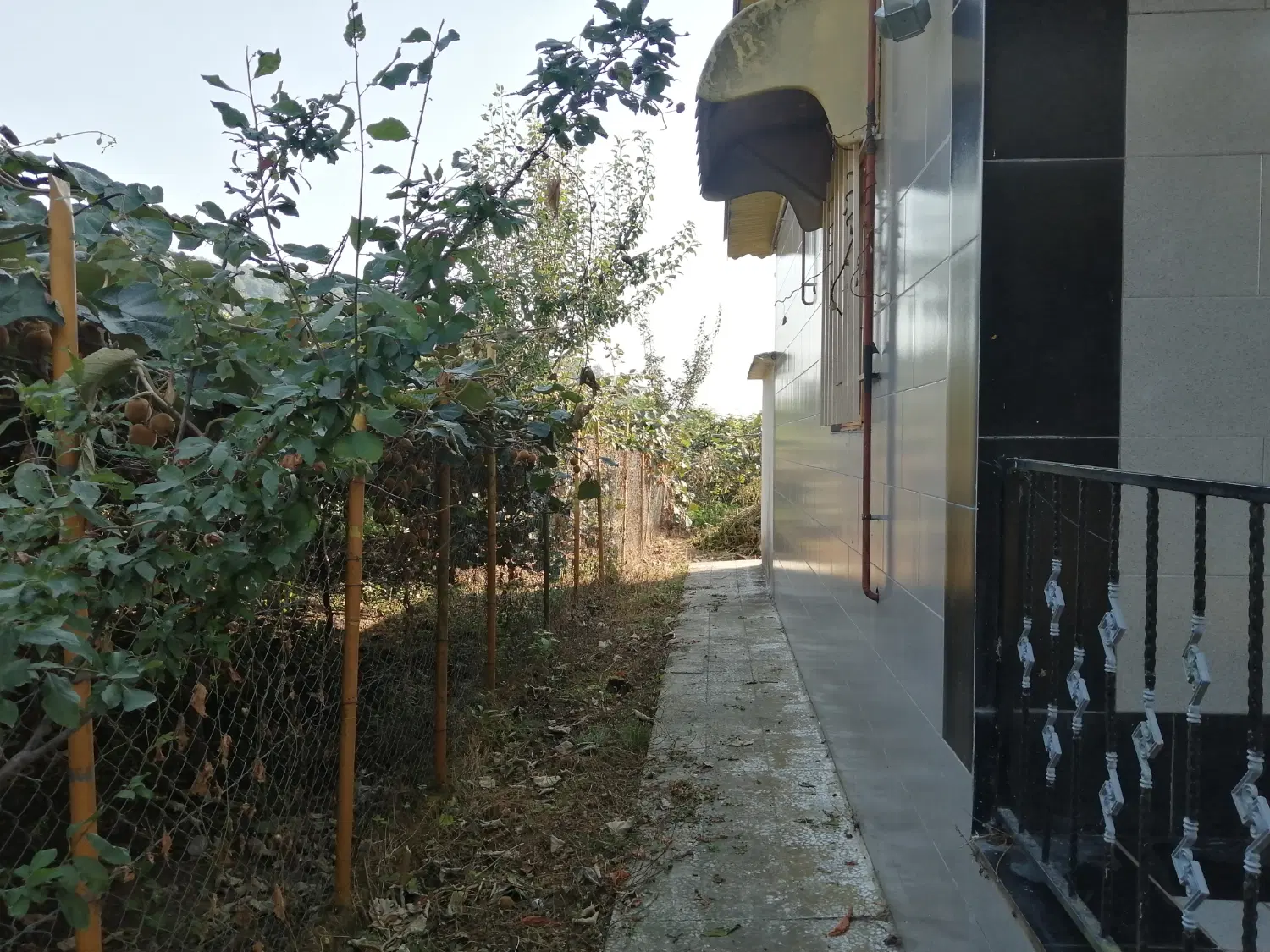 فروش ویلای جنگلی 470متر زمین 120 مترساخت