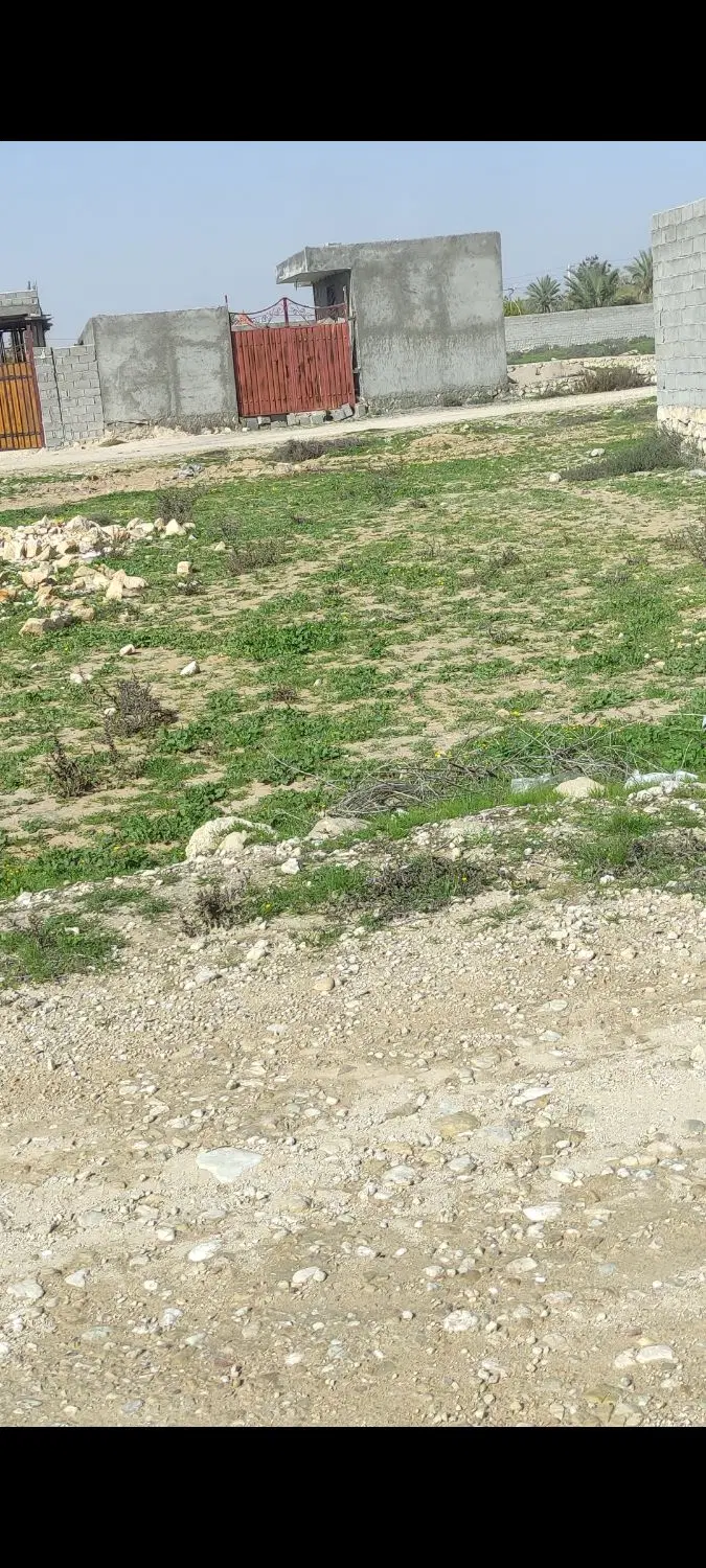 زمین کشاورزی 204متر
