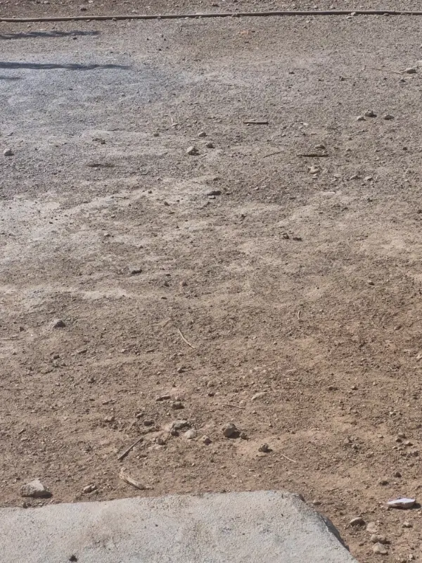 معاوضه