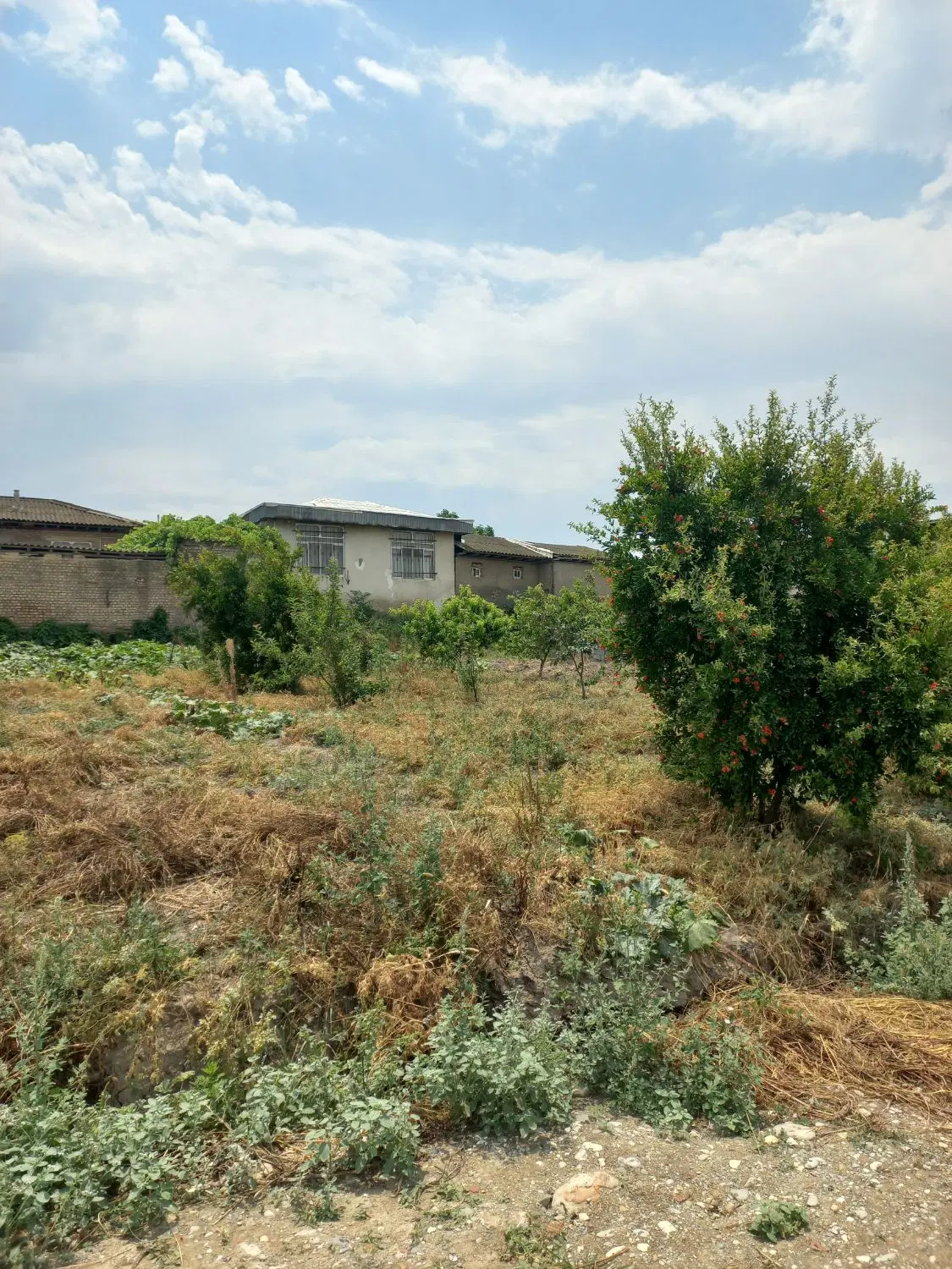 فروش زمین