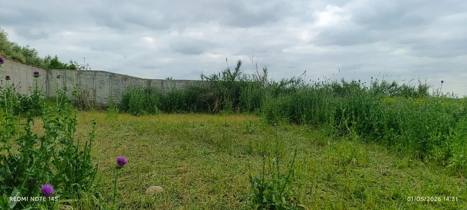 3000 متر زمین کشاورزی