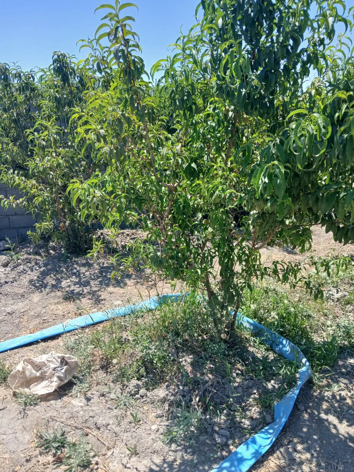 فروش قطعه ویلای