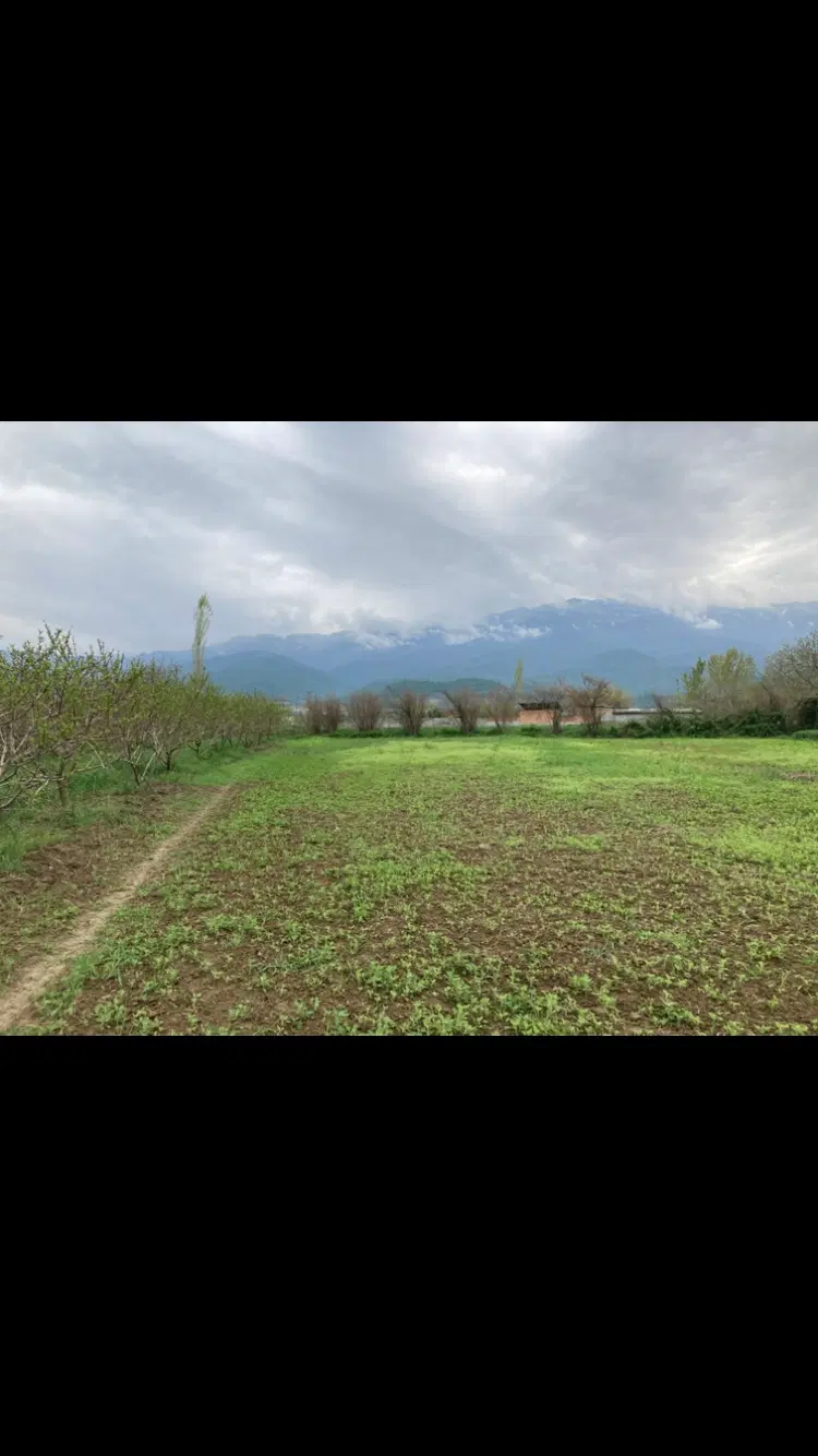 زمین باغی وکشاورزی _۵۰۰۰متر
