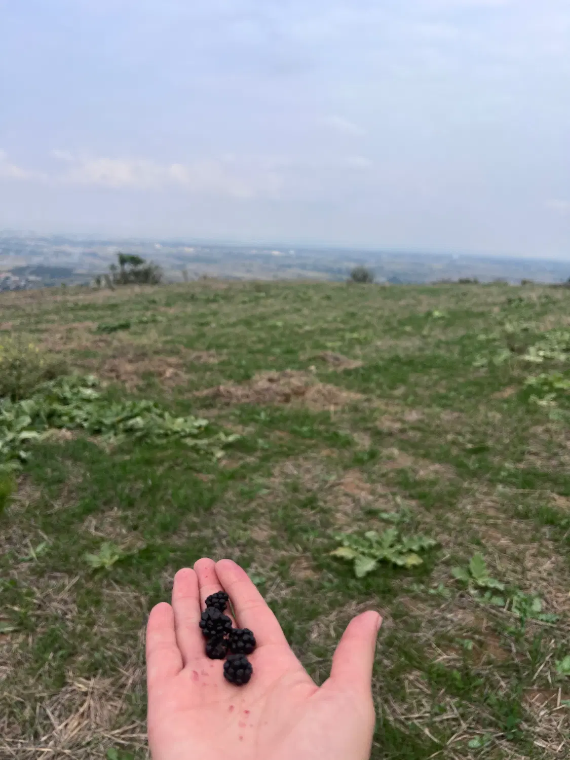 فرصت سرمایه گذاری در استان گلستان