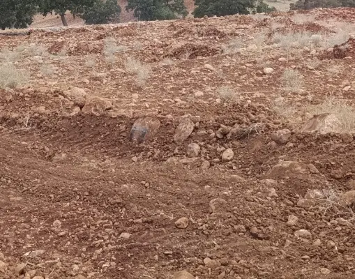 زمین مزدک حبیب آباد