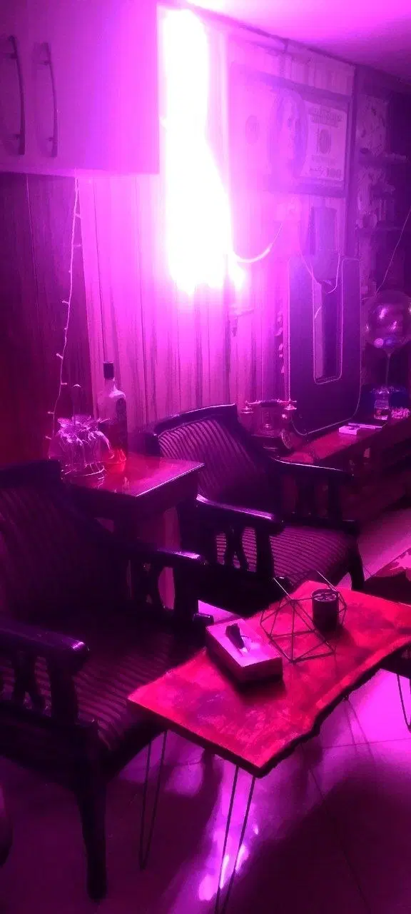 اجاره سوئیت شیک و دربست