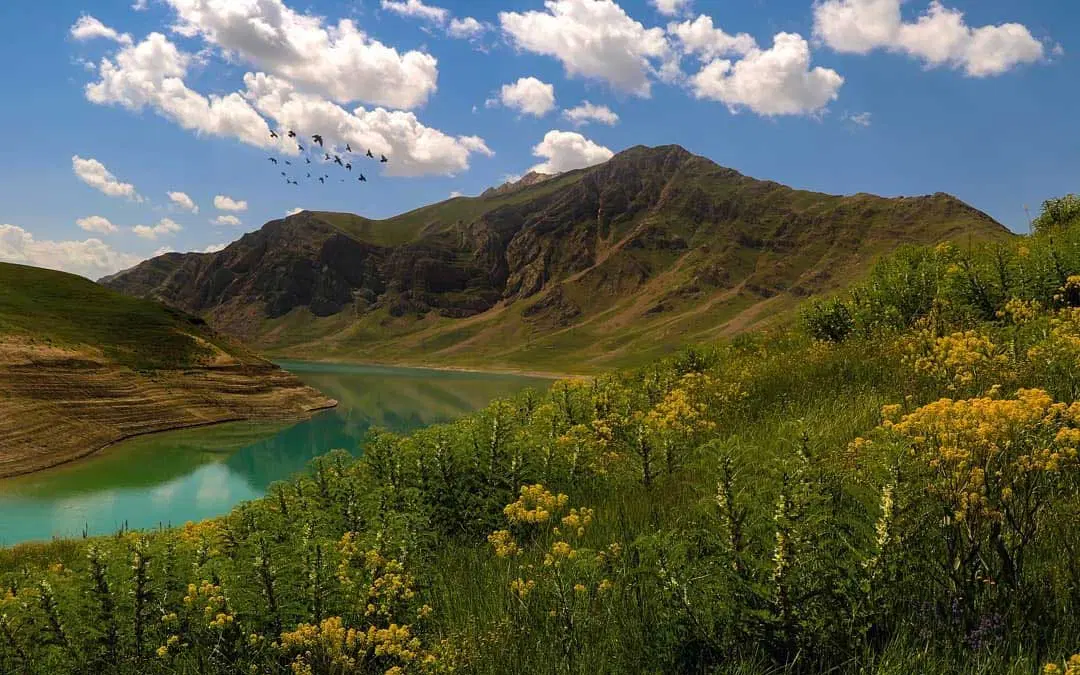 زمین فروشی اراضی