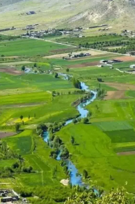 زمین نرگاه