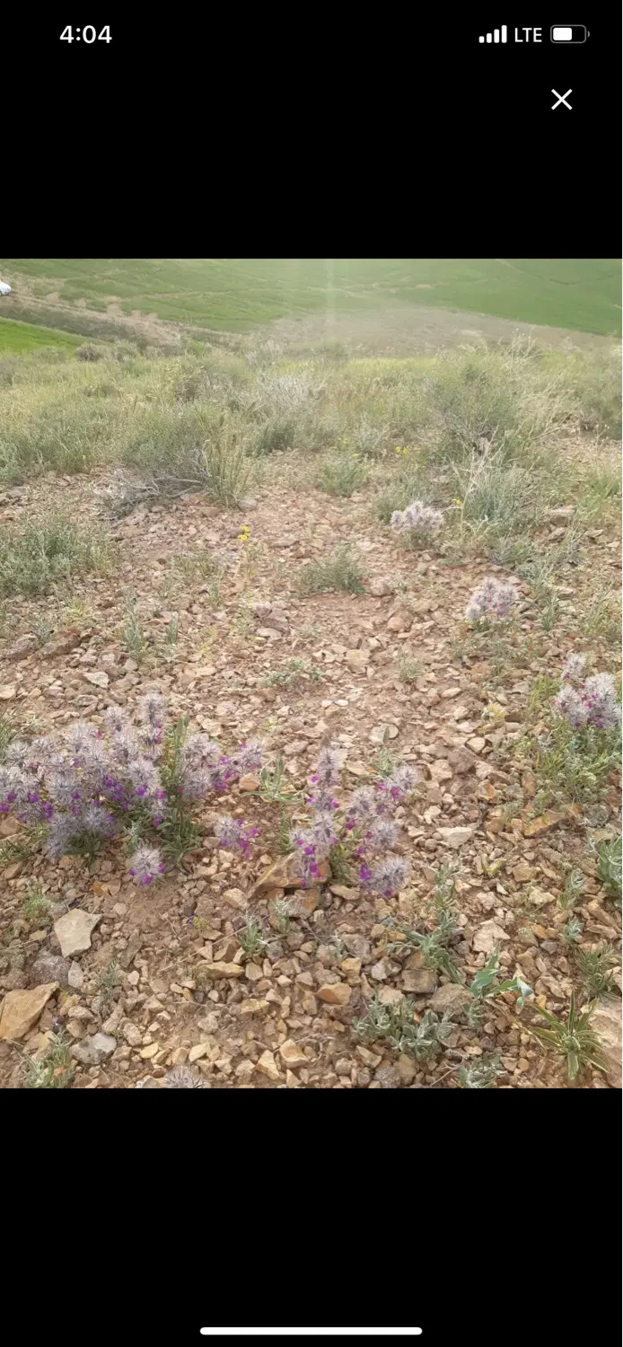 ۷۵۰متر زمین سند دار بحر اتوبان رشت قزوین