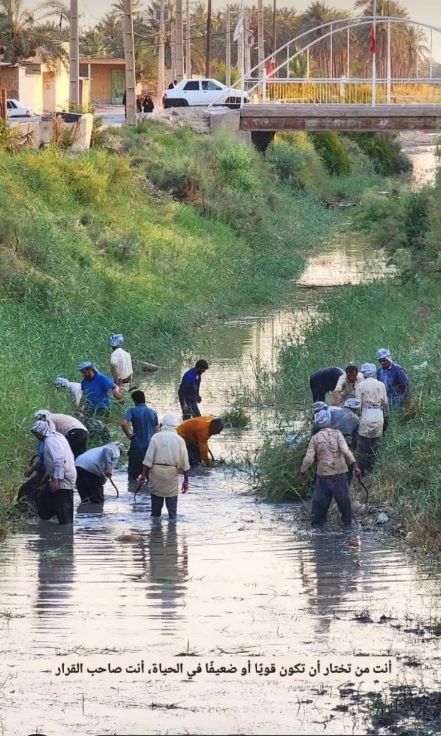 شادگان