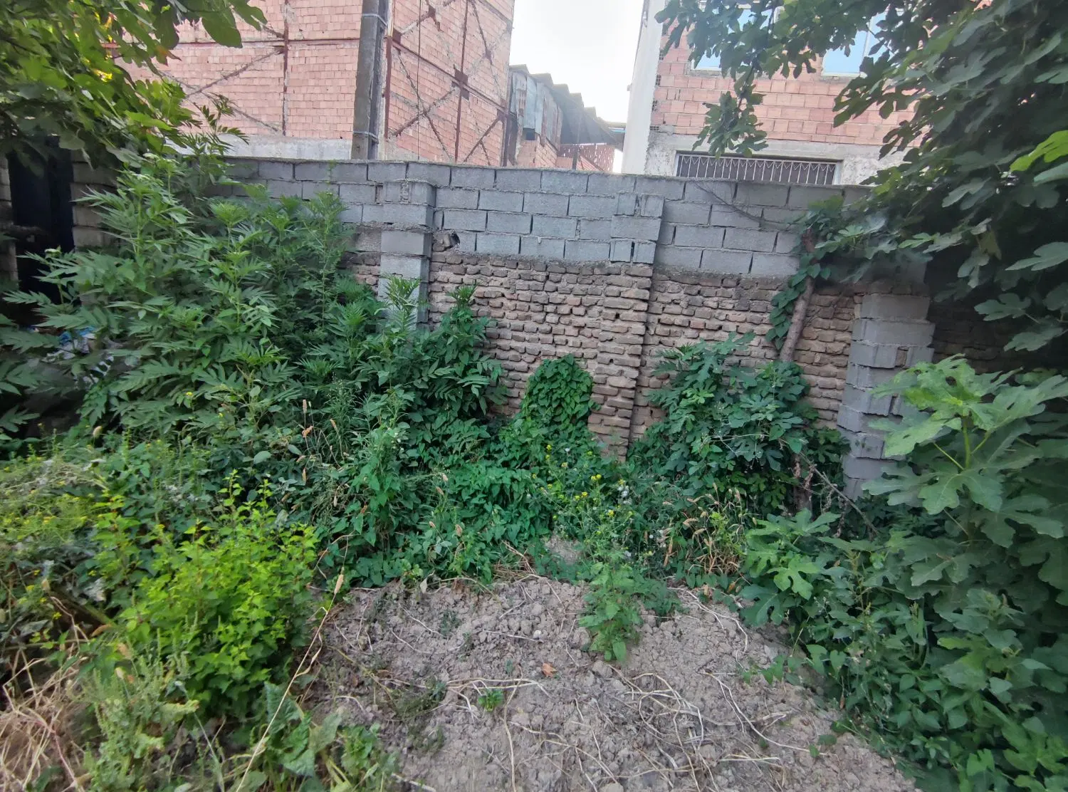 زمین خانه سری داخل شهر