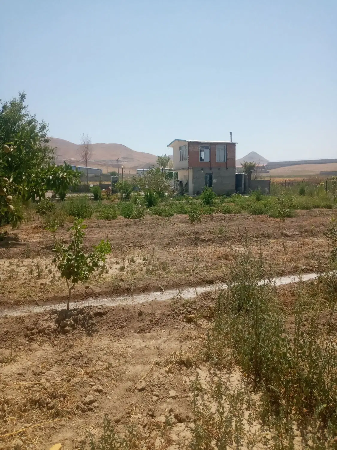 ویلا باغ بادام و پسته با برق و آب شیرین