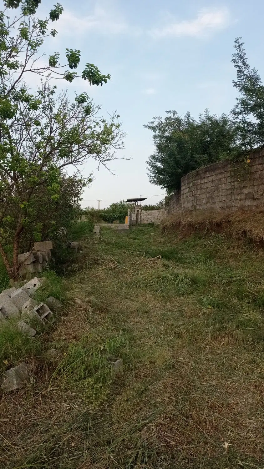 زمین
