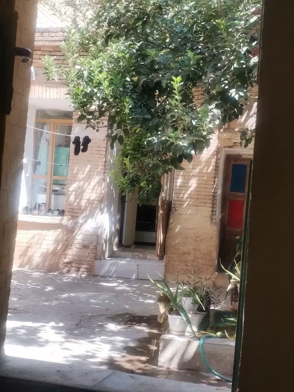 همخونه