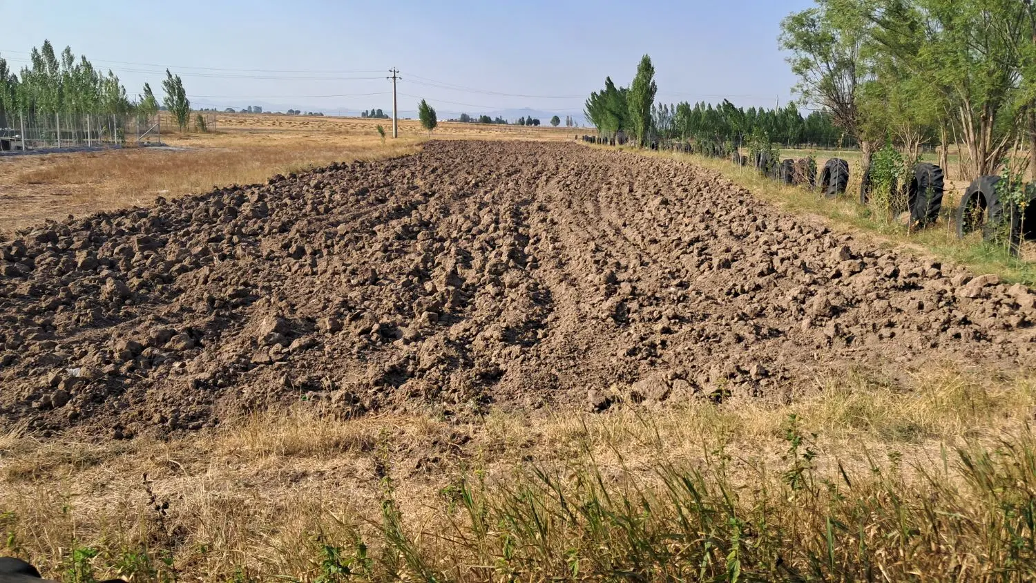 زمین ویلایی گرجان