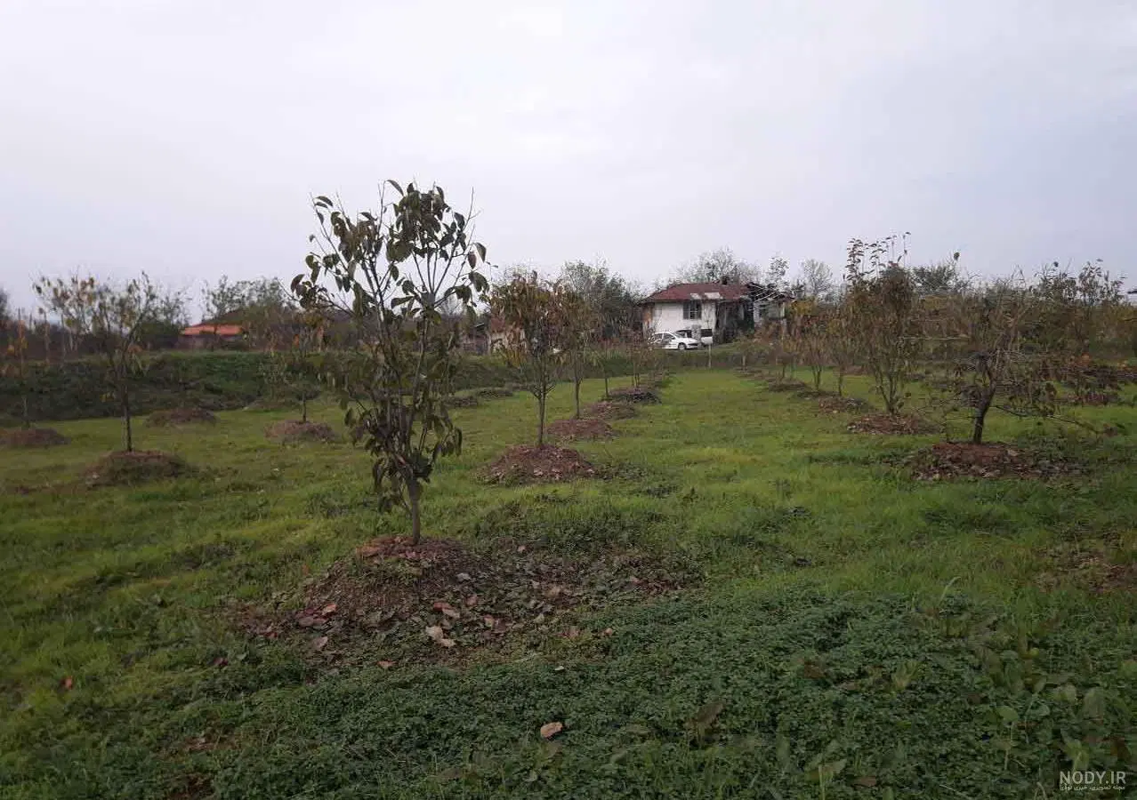زمین موقعیت باغچه_روستای صالح اباد