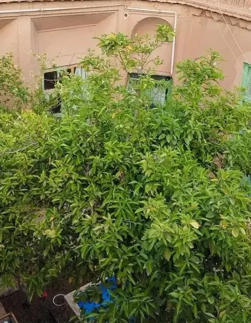 خانه سنتی مخصوص کافی شاب یا خانه مسافر در جای دنج