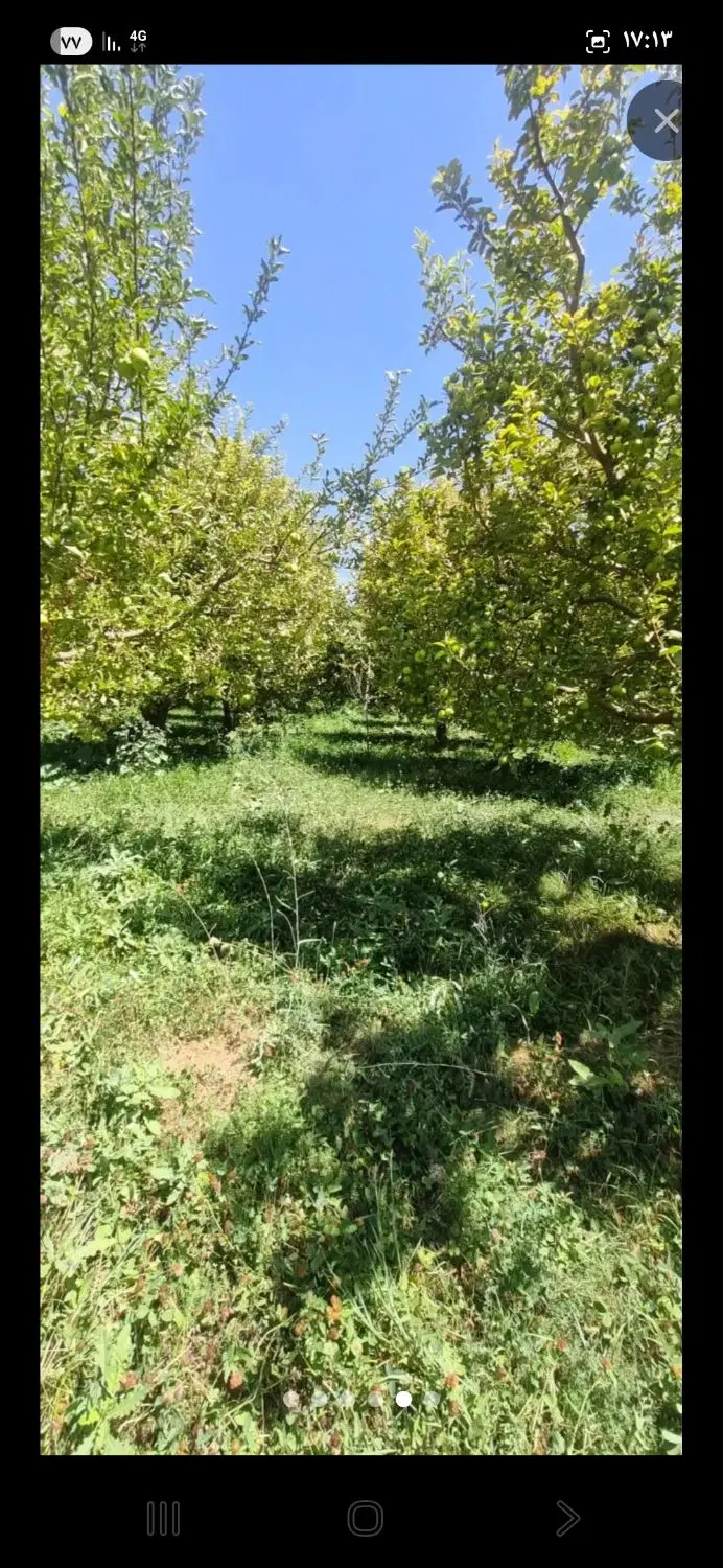 باغ  جاده کلشان   زیر قیمت فوری