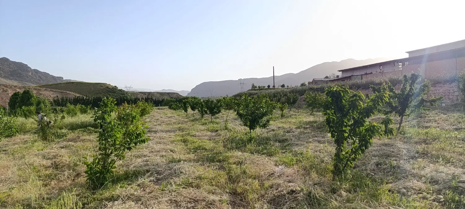 باغ و باغچه مناسب سرمایه گذاری
