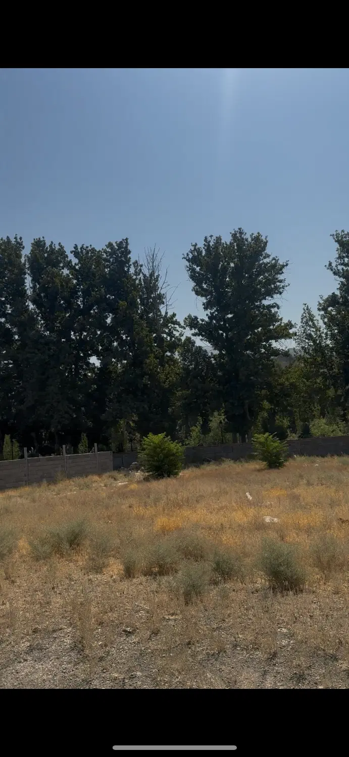 زمین خدمات تفریحی