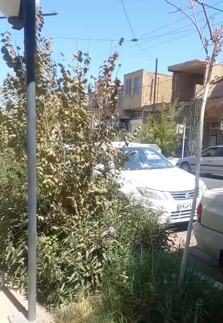 مغازه ۳۲ متری درب شیشه ایی وکرکره برقی