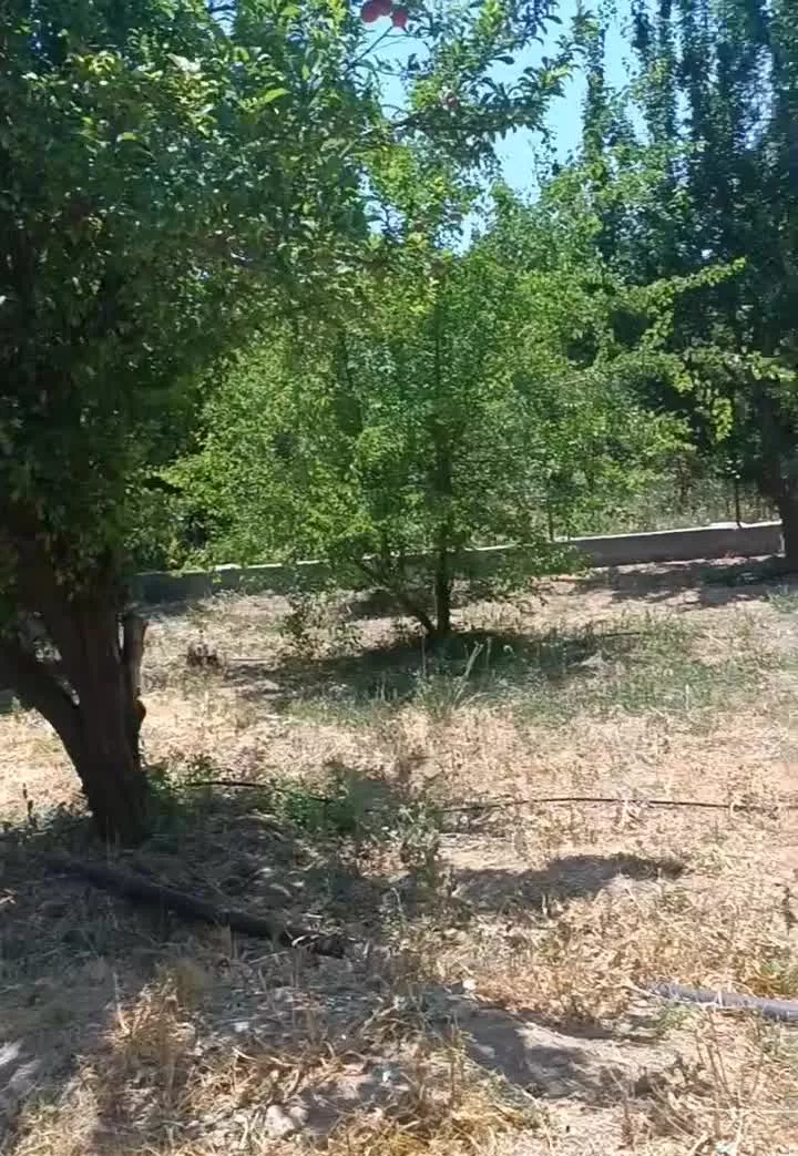 فروش باغ روستای بیاره