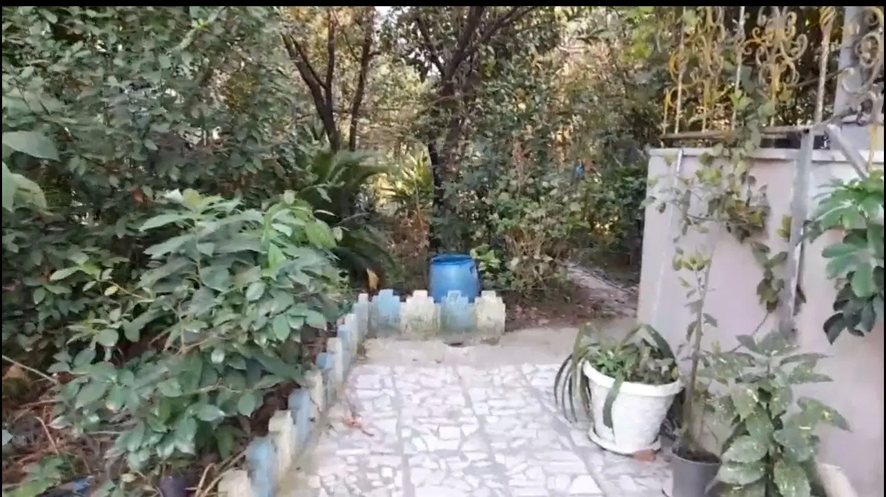 باغ ویلا
