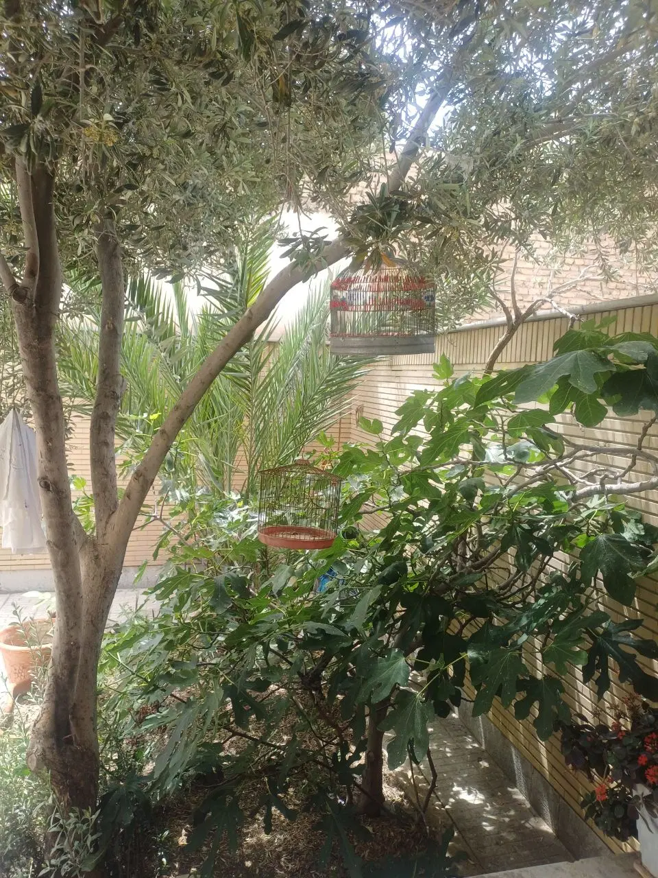 منزل ویلایی ۲۲۰ متری خ میثم