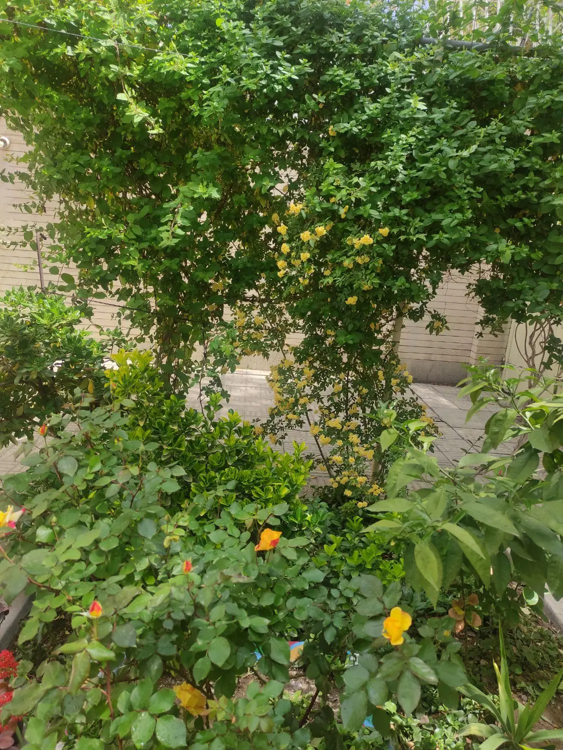 منزل مسکونی