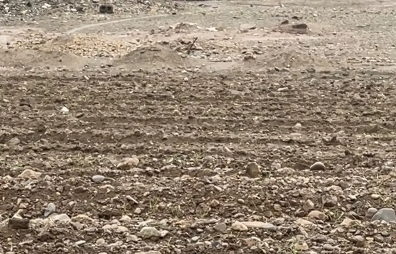 کوثر بلوک ۱۲