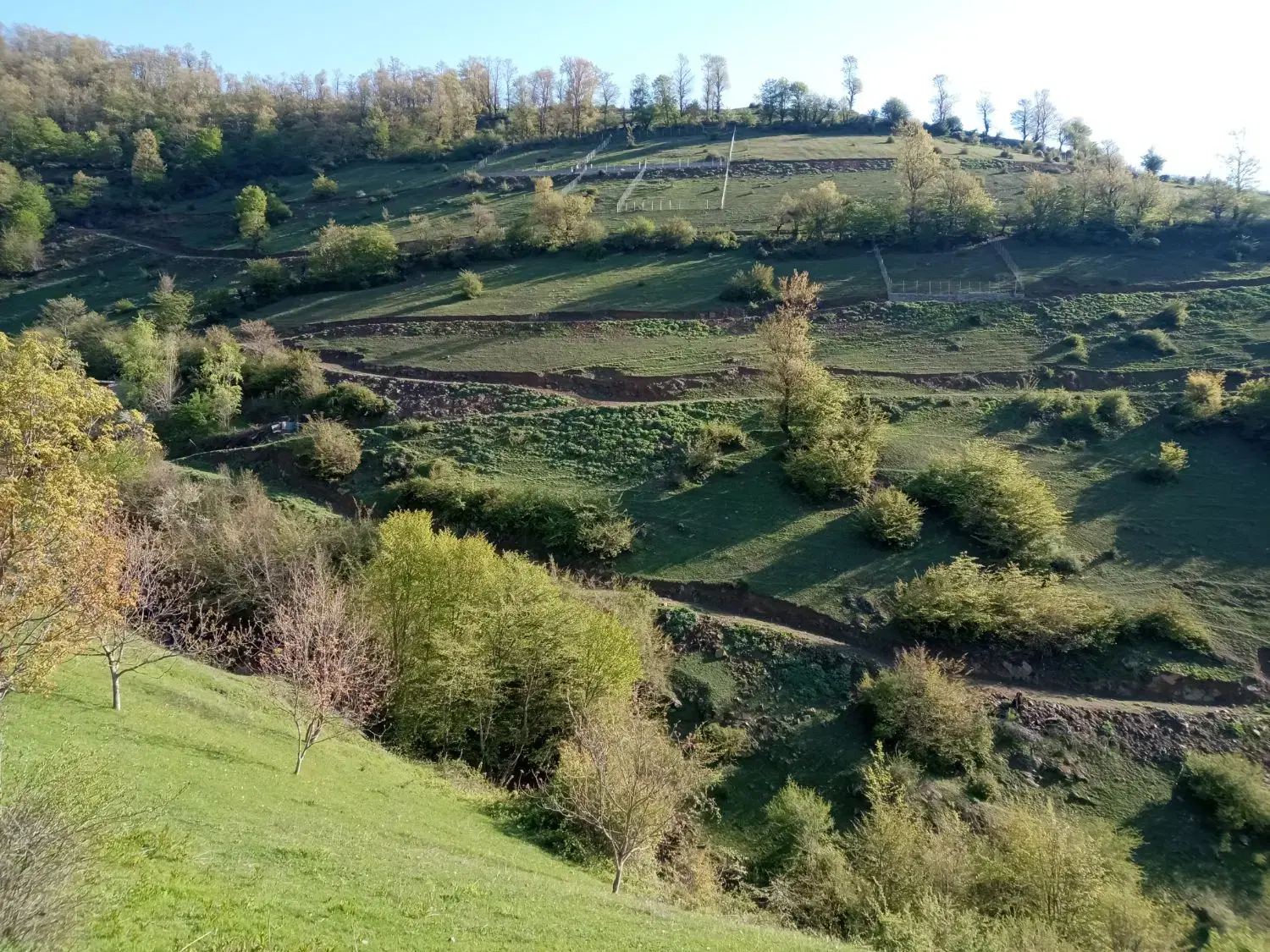 فروش زمین