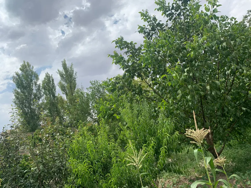 اجاره قطعه زمین هموار برای کانکس سازی و مشاغل