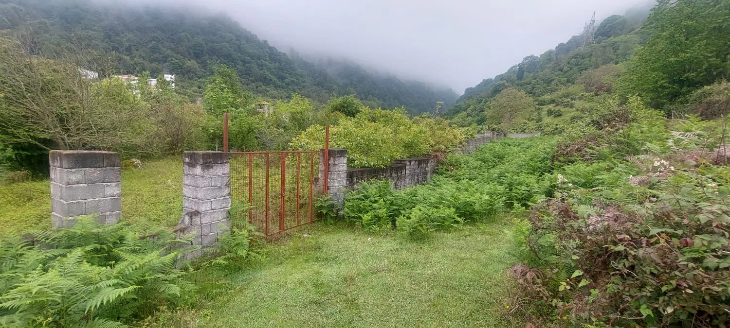 ۸۰۰ متر زمین چالوس جنگلی کشکسرا