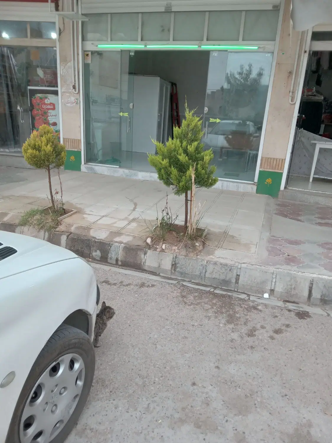 مغازه تجاری  فروشی