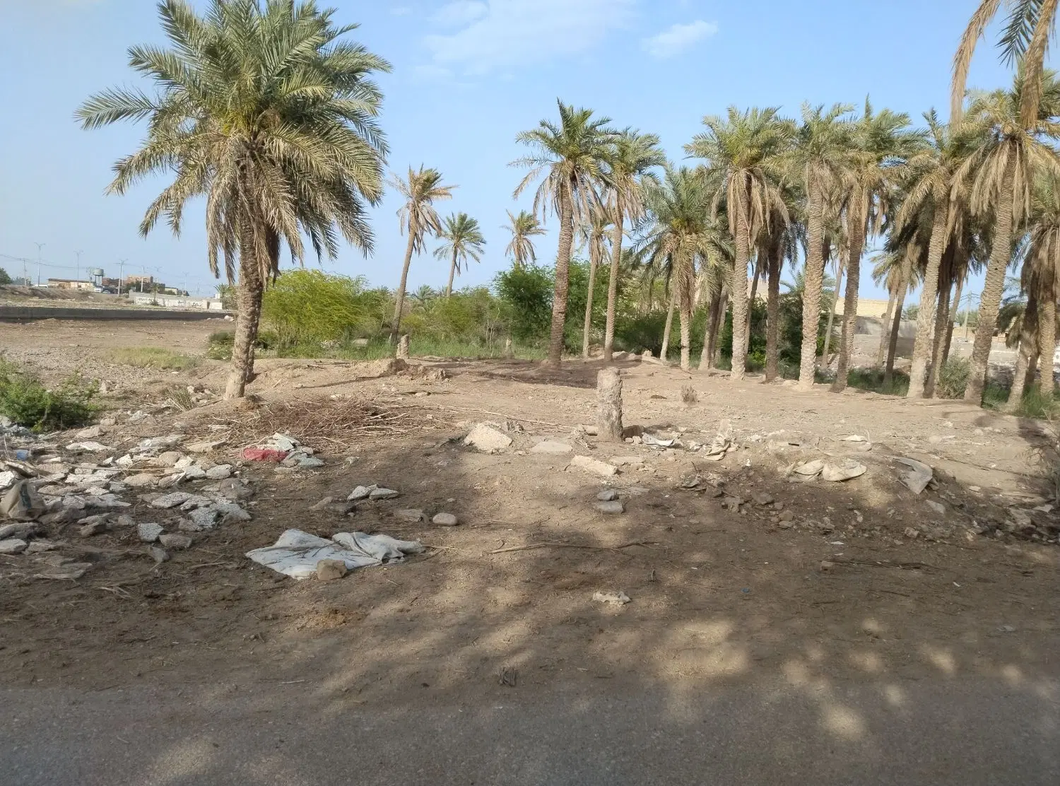 فروش زمین کشاورزی 600 متر