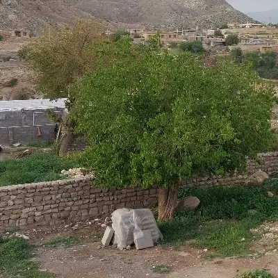 فروش زمین ۳۰۰ متری شهرک وحدت